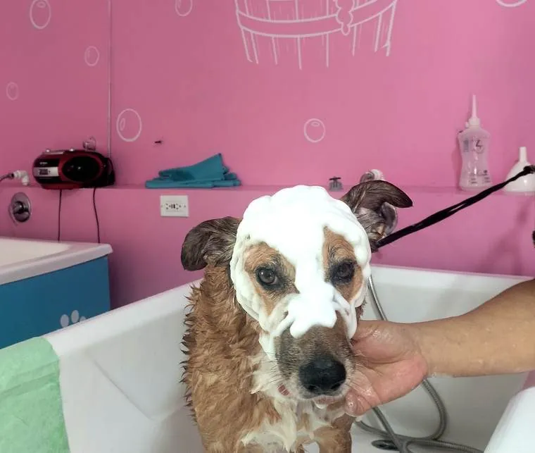 Hannah en la tina con un gorrito de espuma