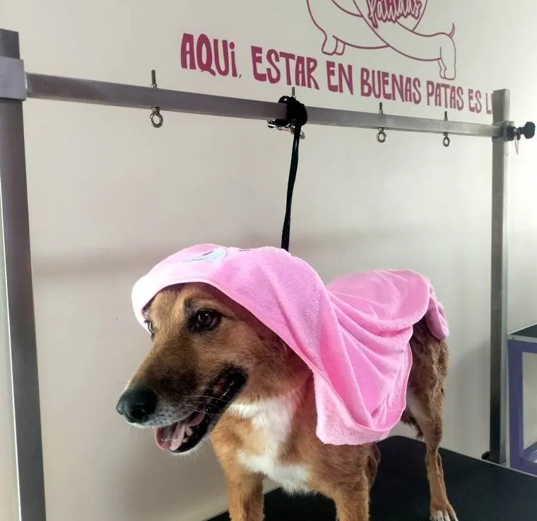 Hannah envuelta en una toalla rosada después del baño